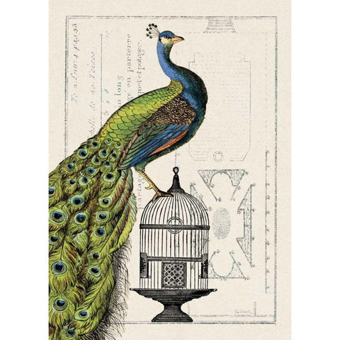 Peacock Birdcage I Gold Ornate Wood Framed Art Print with Double Matting by Wild Apple Portfolio