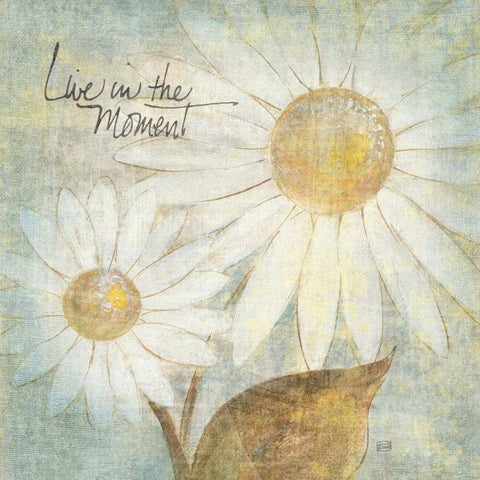 Daisy Do III - Live in the Moment White Modern Wood Framed Art Print by Paschke, Chris