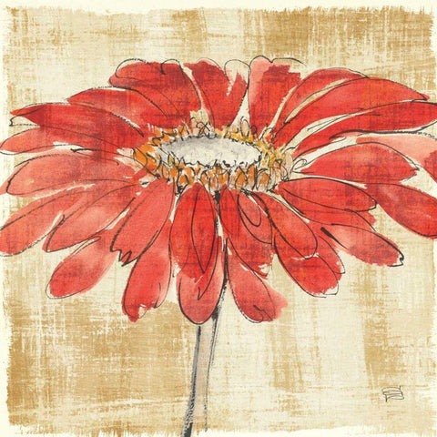 Tangerine and Grey I Black Modern Wood Framed Art Print with Double Matting by Paschke, Chris