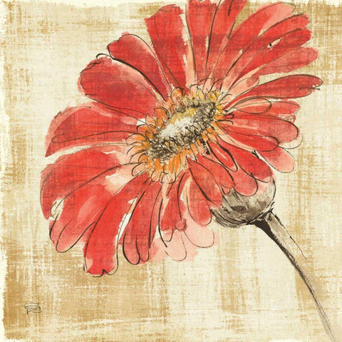 Tangerine and Grey II Black Modern Wood Framed Art Print by Paschke, Chris