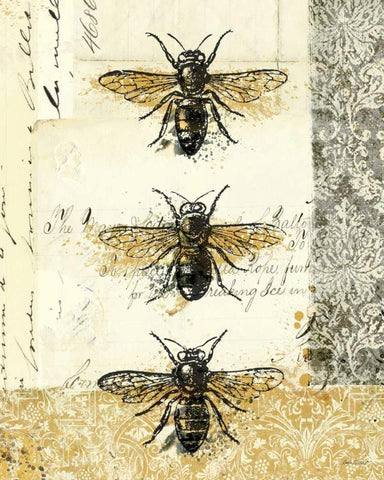 Golden Bees n Butterflies No 1 Black Ornate Wood Framed Art Print with Double Matting by Pertiet, Katie