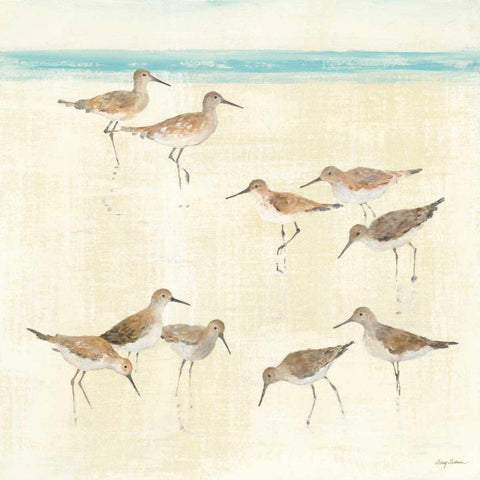 Sandpipers Black Modern Wood Framed Art Print with Double Matting by Tillmon, Avery