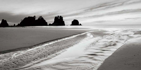 Shi Shi Point of Arches Black Ornate Wood Framed Art Print with Double Matting by Audit, Lisa