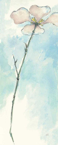 Solitary Dogwood I White Modern Wood Framed Art Print with Double Matting by Paschke, Chris