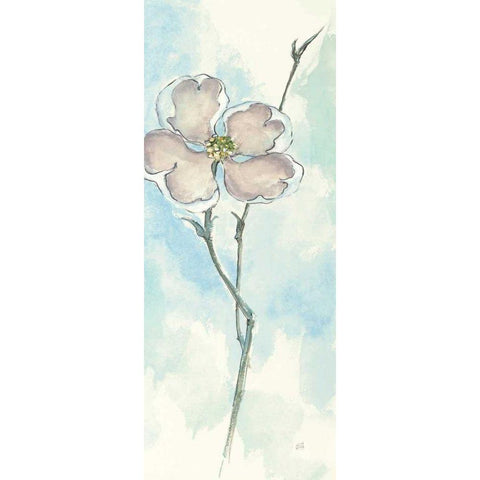 Solitary Dogwood II Black Modern Wood Framed Art Print by Paschke, Chris