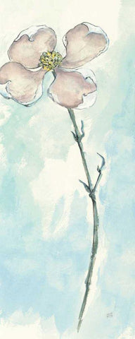 Solitary Dogwood III White Modern Wood Framed Art Print with Double Matting by Paschke, Chris