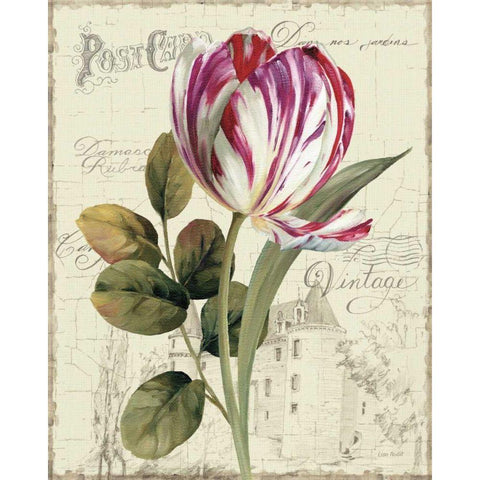 Garden View II - Tulip White Modern Wood Framed Art Print by Audit, Lisa