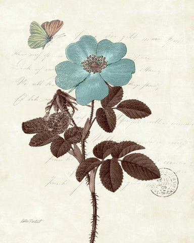 Touch of Blue II White Modern Wood Framed Art Print with Double Matting by Pertiet, Katie