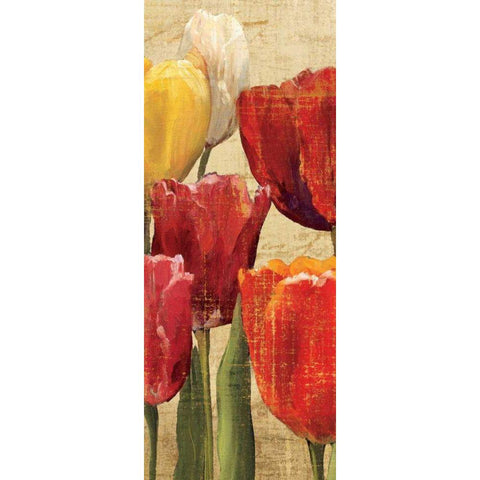 Tulip Fantasy on Cream III White Modern Wood Framed Art Print by Hageman, Marilyn