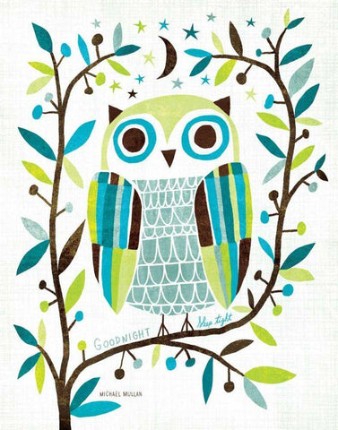 Night Owl II White Modern Wood Framed Art Print with Double Matting by Mullan, Michael
