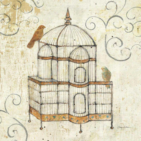 Bird Cage I Black Ornate Wood Framed Art Print with Double Matting by Tillmon, Avery