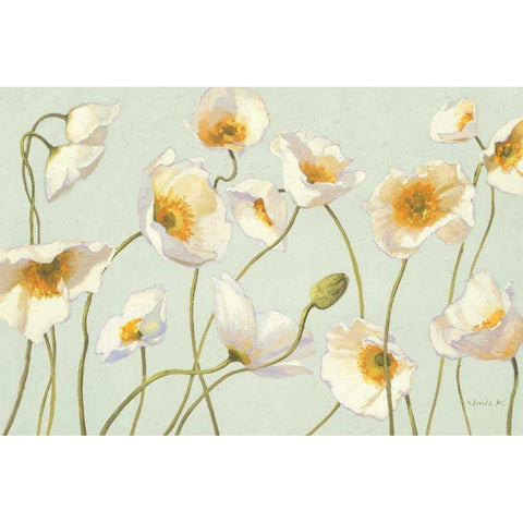 White and Bright Poppies Black Modern Wood Framed Art Print by Novak, Shirley