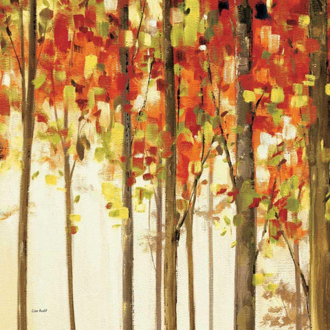 Autumn Forest Study II White Modern Wood Framed Art Print by Audit, Lisa