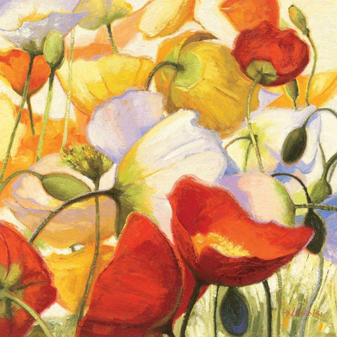 Poppies Up Close White Modern Wood Framed Art Print with Double Matting by Novak, Shirley