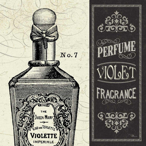 Parfum II White Modern Wood Framed Art Print with Double Matting by Pela Studio