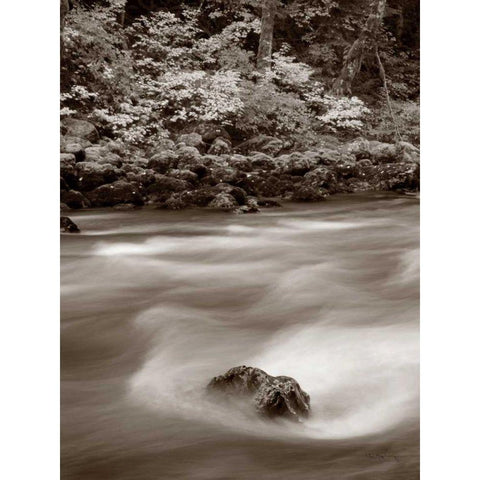 Nooksack River North Cascades Black Modern Wood Framed Art Print with Double Matting by Audit, Lisa