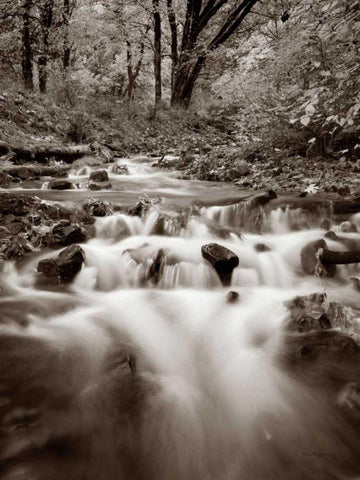 Wahkeena Creek Black Ornate Wood Framed Art Print with Double Matting by Audit, Lisa