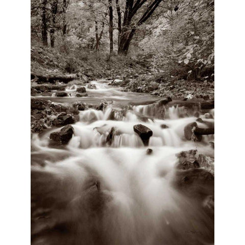 Wahkeena Creek Gold Ornate Wood Framed Art Print with Double Matting by Audit, Lisa