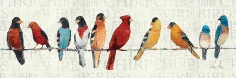 The Usual Suspects - Birds on a Wire White Modern Wood Framed Art Print with Double Matting by Tillmon, Avery