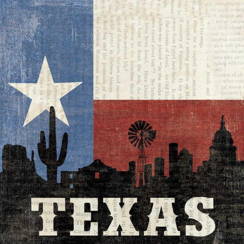 Texas Black Modern Wood Framed Art Print by Hershey, Moira