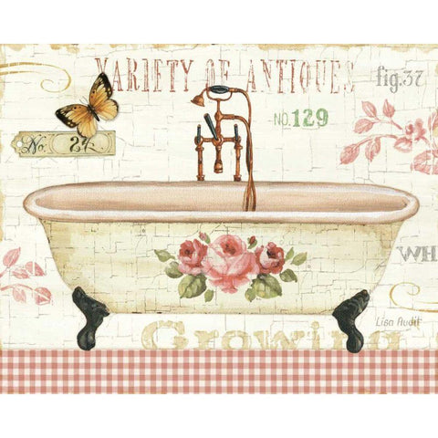 Rose Garden III no Border White Modern Wood Framed Art Print by Audit, Lisa