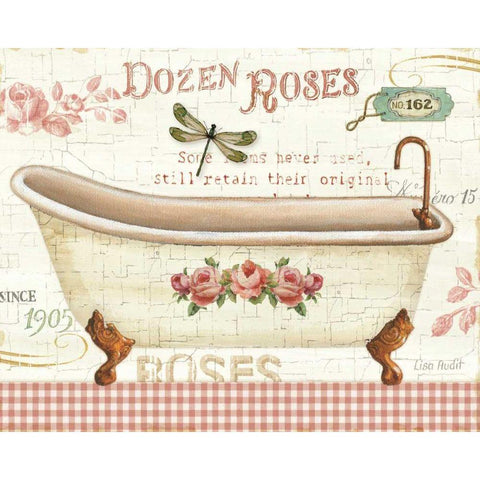 Rose Garden IV no Border White Modern Wood Framed Art Print by Audit, Lisa