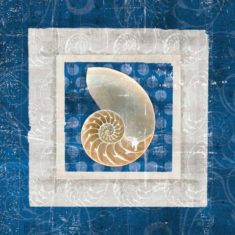 Sea Shell II on Blue  Black Modern Wood Framed Art Print by Aldrich, Belinda