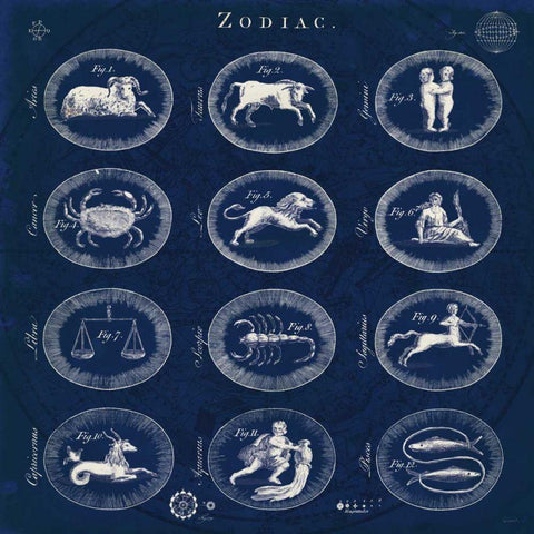 Blueprint Zodiac Black Ornate Wood Framed Art Print with Double Matting by Schlabach, Sue