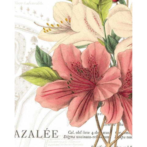 Azalee Jardin I Gold Ornate Wood Framed Art Print with Double Matting by Wild Apple Portfolio