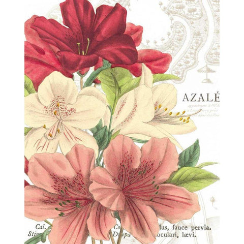 Azalee Jardin II Gold Ornate Wood Framed Art Print with Double Matting by Wild Apple Portfolio