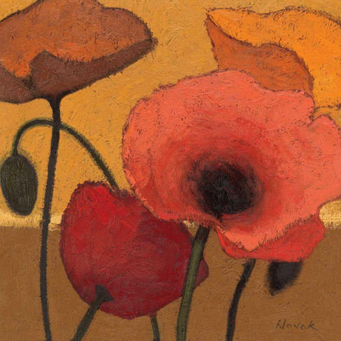 Poppy Curry I White Modern Wood Framed Art Print with Double Matting by Novak, Shirley