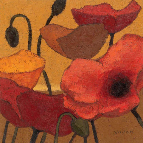Poppy Curry II White Modern Wood Framed Art Print by Novak, Shirley