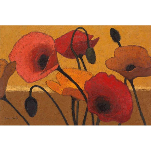 Poppy Curry III Black Modern Wood Framed Art Print by Novak, Shirley