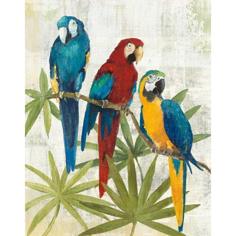 Birds of a Feather II Black Modern Wood Framed Art Print with Double Matting by Tillmon, Avery