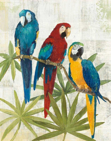 Birds of a Feather II White Modern Wood Framed Art Print with Double Matting by Tillmon, Avery