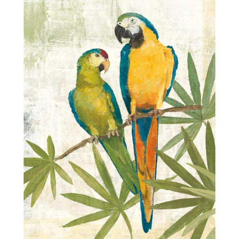 Birds of a Feather III Black Modern Wood Framed Art Print with Double Matting by Tillmon, Avery