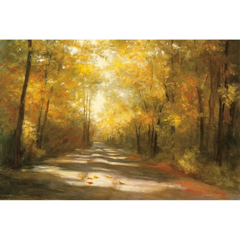 Gap Road White Modern Wood Framed Art Print by Purinton, Julia