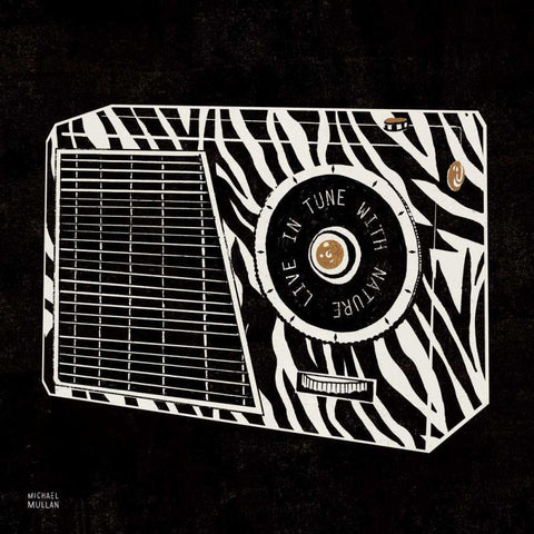 Analog Jungle Radio White Modern Wood Framed Art Print with Double Matting by Mullan, Michael