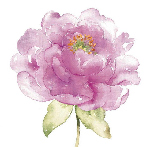 Water Flower II White Modern Wood Framed Art Print by Wild Apple Portfolio