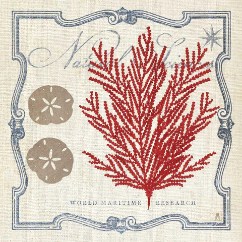 Pacific Sea Fern White Modern Wood Framed Art Print with Double Matting by Studio Mousseau