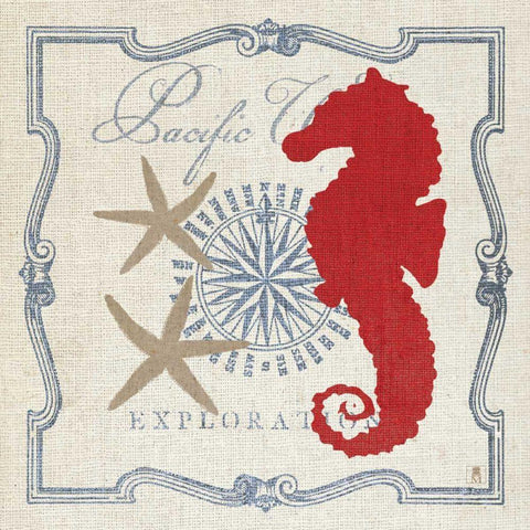 Pacific Seahorse White Modern Wood Framed Art Print with Double Matting by Studio Mousseau