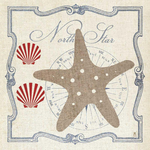Pacific Starfish White Modern Wood Framed Art Print by Studio Mousseau