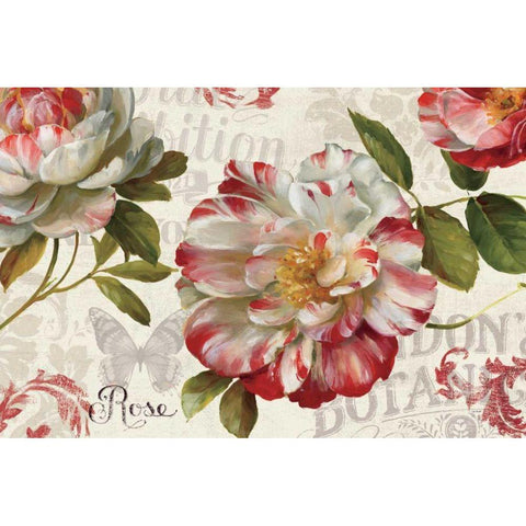 Spring Flair I Black Modern Wood Framed Art Print by Audit, Lisa