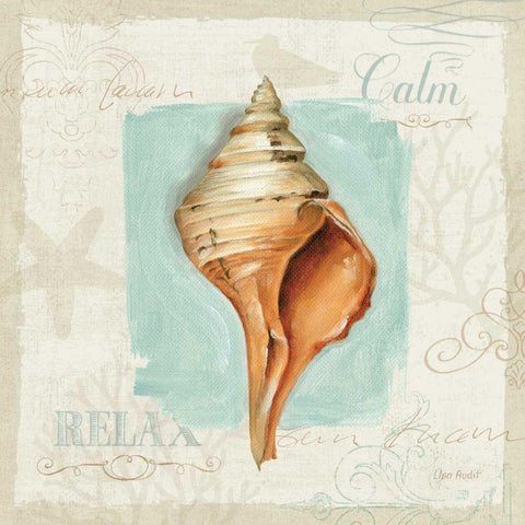 Coastal Jewels I Black Ornate Wood Framed Art Print with Double Matting by Audit, Lisa