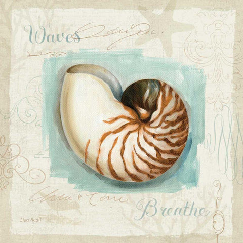 Coastal Jewels II Black Ornate Wood Framed Art Print with Double Matting by Audit, Lisa