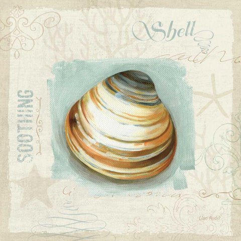 Coastal Jewels III White Modern Wood Framed Art Print by Audit, Lisa