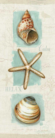 Coastal Jewels Panel I White Modern Wood Framed Art Print with Double Matting by Audit, Lisa