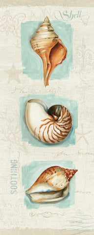 Coastal Jewels Panel II Black Ornate Wood Framed Art Print with Double Matting by Audit, Lisa