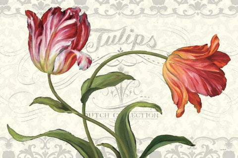 Tulipa Botanica I Cream Black Ornate Wood Framed Art Print with Double Matting by Audit, Lisa