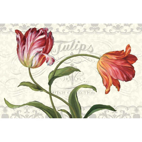 Tulipa Botanica I Cream Black Modern Wood Framed Art Print by Audit, Lisa